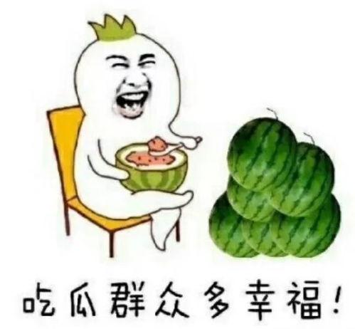 快乐吃瓜烦着呢,烦忧尽消——揭秘现代人的心理调适之道