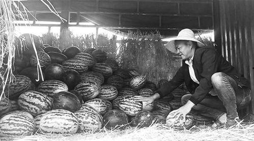 恒河吃瓜群众事件,一场引发全球关注的网络狂欢