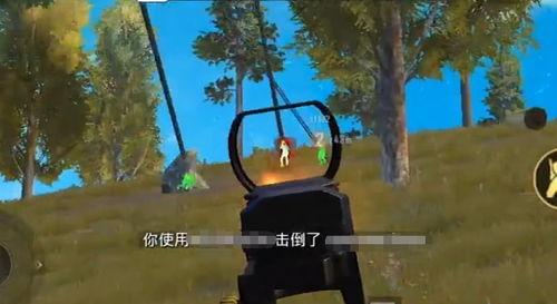 吃鸡歪瓜玩家,揭秘游戏中的趣味与智慧