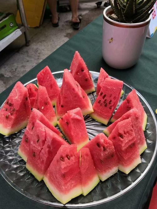 每日吃瓜大赛详情