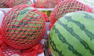 手工吃瓜辅助器,轻松享受夏日清凉新体验