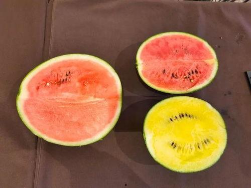 大颖吃瓜,揭秘娱乐圈幕后故事