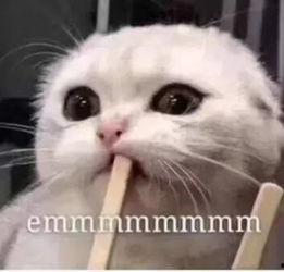 吃瓜朋友来了吖,揭秘“吃瓜朋友来了吖”的趣味魅力