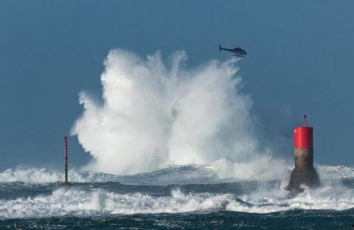 阿甘巨浪吃海瓜