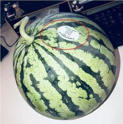 辉县网红吃瓜,揭秘网络红人的幕后真相