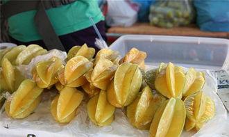 大马吃小瓜,一场生态平衡的奇妙之旅